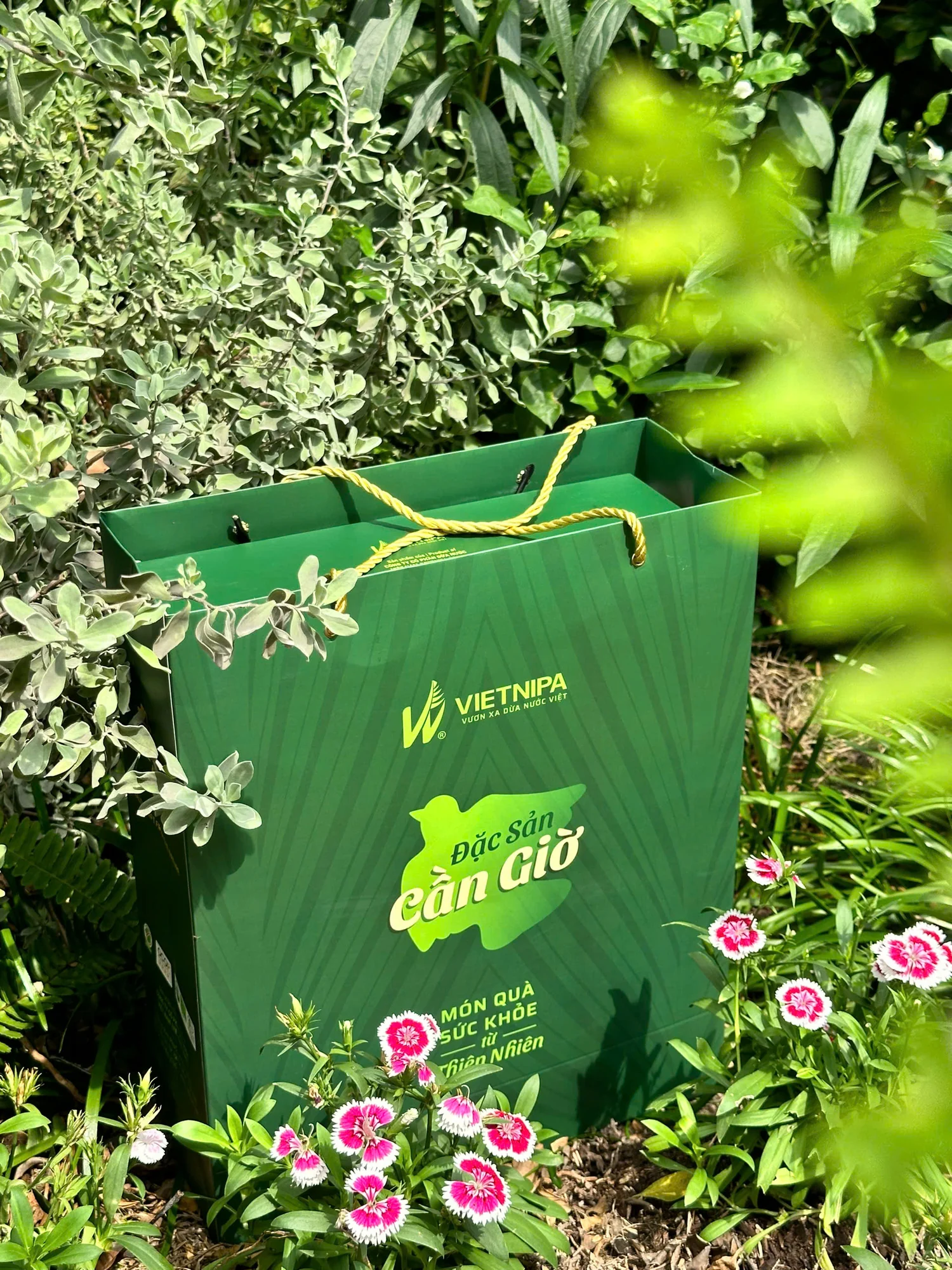 Vietnipa Tết gift bag photographed on location